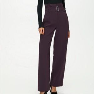 Aritzia Wide-Leg High-Waist Trousers in Plum